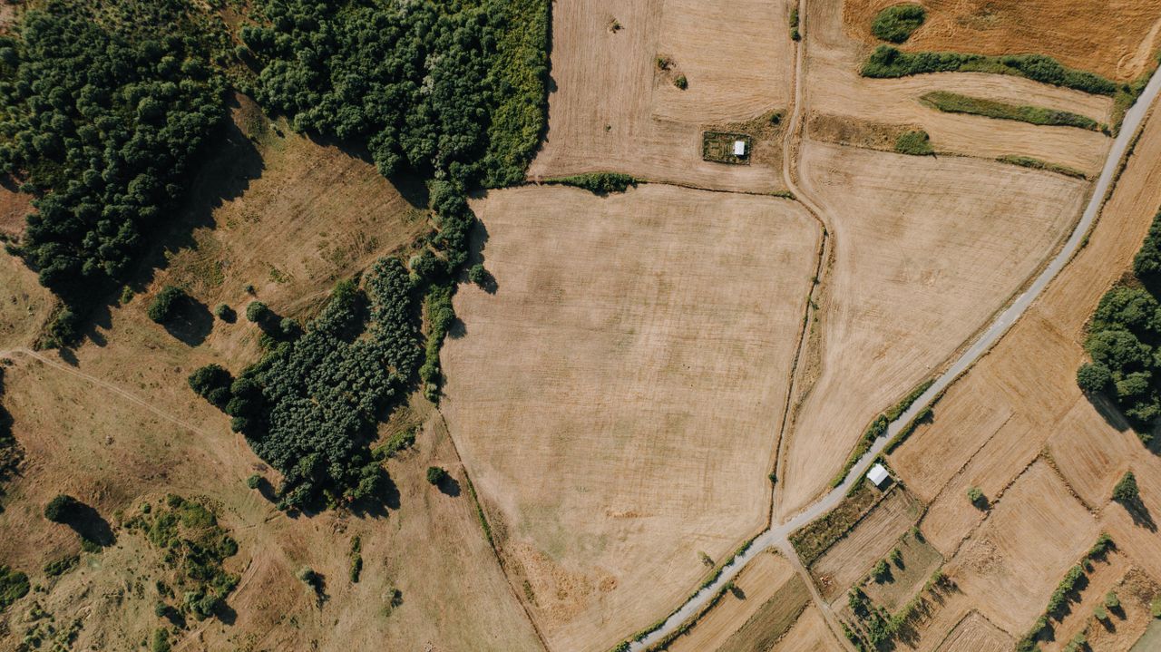 Titulación de tierras